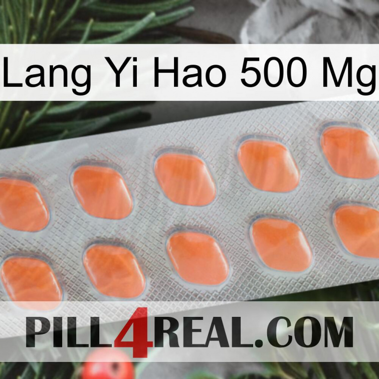 Lang Yi Hao 500 Mg 26